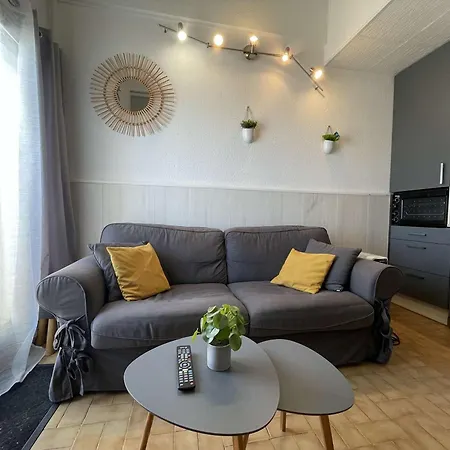 Apartment Appt Moderne 6 Pers Avec Piscine, Clim, Parking - - Fr-1-229-887 *